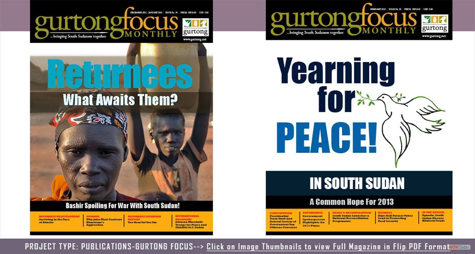 Publications GurtongFocus Slide1