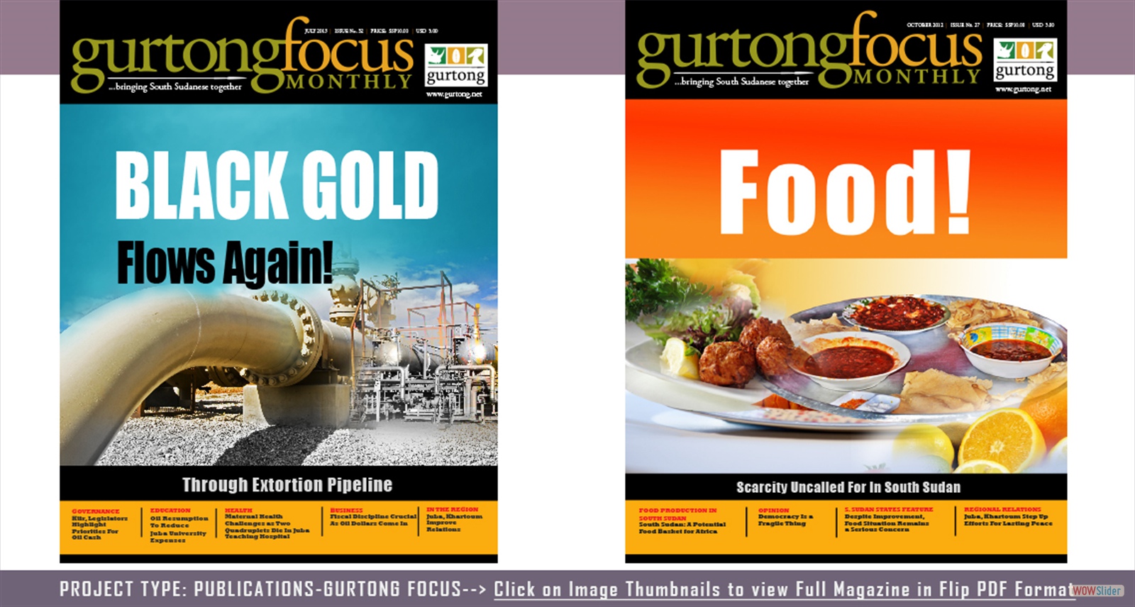 Publications GurtongFocus Slide2